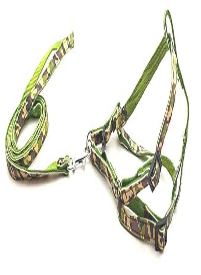 Pups&Pets سترة مبطنة من النايلون 10 مم قابلة للتعديل مع حزام مطبوع بنمط شريطي ومقود طويل، مثالية للمشي في الهواء الطلق/تدريب الكلاب والجراء (أخضر) - Image 1